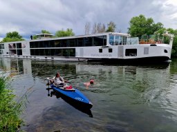Mainschwimmen Juni 2026